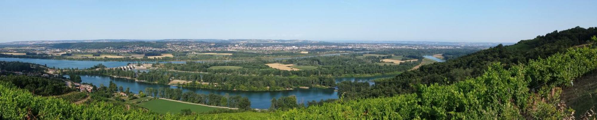 L'Ecrin De Vert Saint-Alban-du-Rhône Pokój zdjęcie